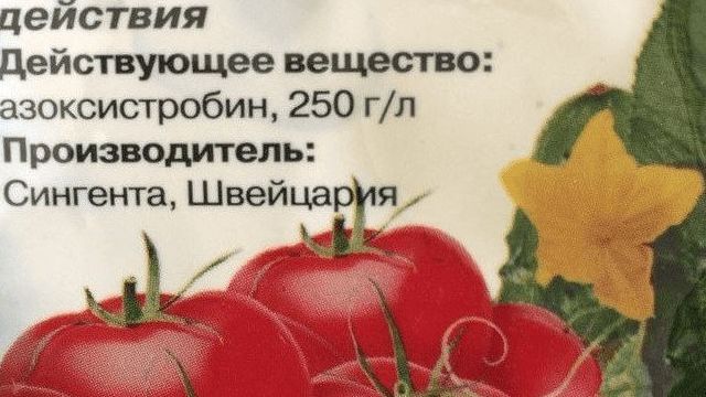 Вся правда об использовании Фунгицидов для томатов: разновидности средств и инструкция по обработке огорода