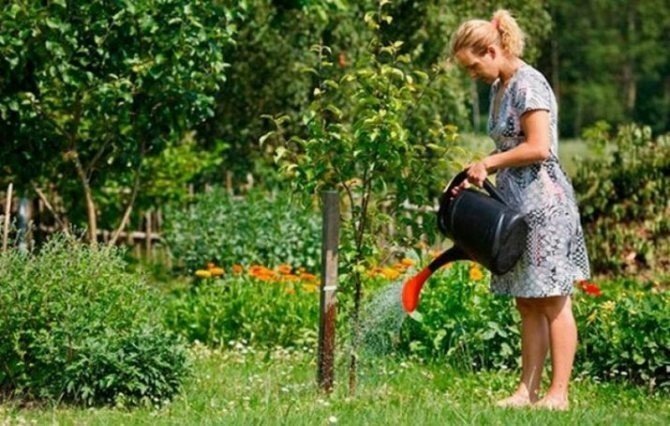 Девушка поливает цветы в саду
