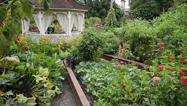 Дачная жизнь-сад огород дача