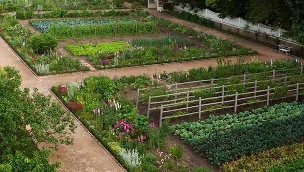 Дизайн сада и огорода