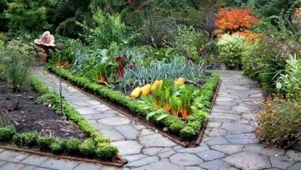 Идеи для огорода и сада