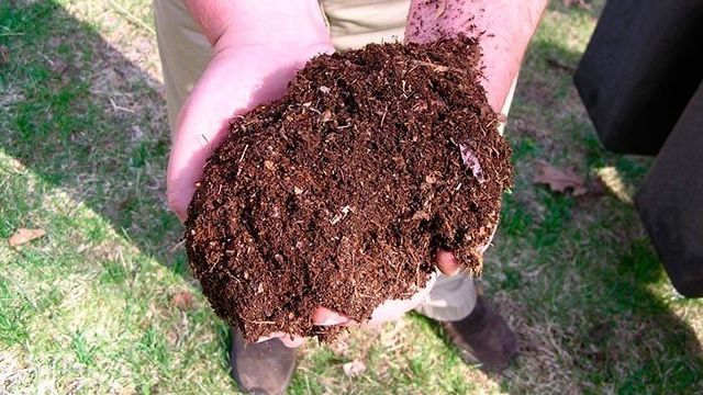 Что такое компост, компостная яма своими руками