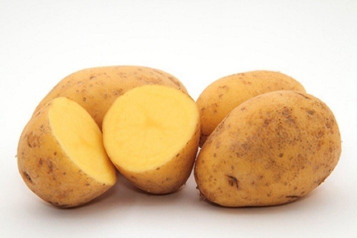 Семенной картофель гала