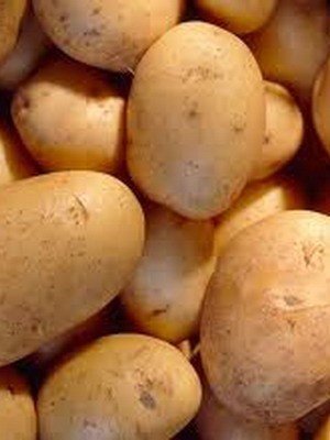 Картофель сорт фрителла