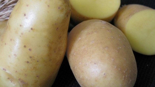 Описание картошки раннего сорта «Невский»