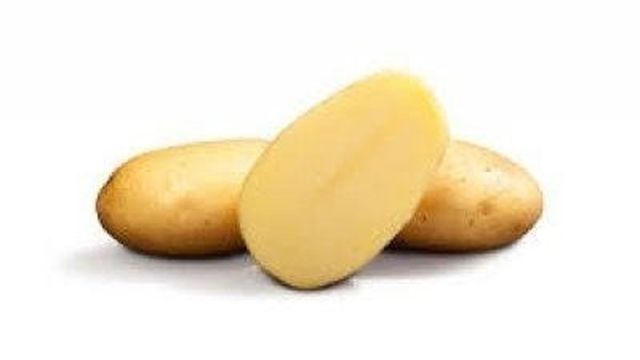 Сорт картофеля Эльмундо: ботаническое описание и характеристика, плюсы и минусы, особенности посадки и ухода, фото