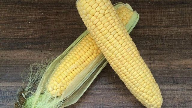Сколько и как варить кукурузу в початках кастрюле, если она в початках