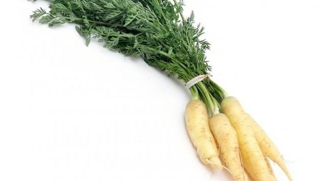 Морковь белая: состав, калорийность, польза, рецепты