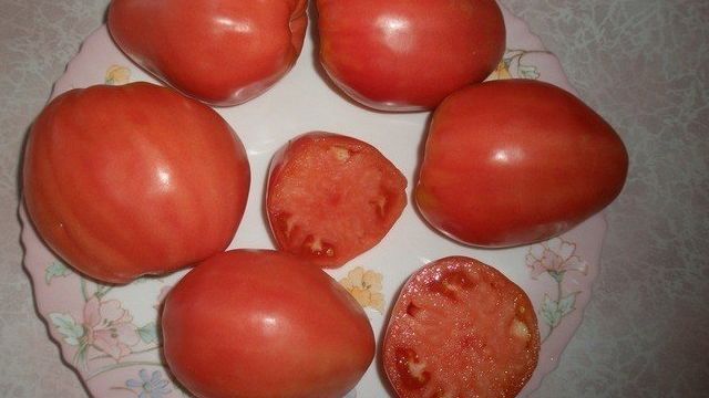 Описание и выращивание томата «Батяня»