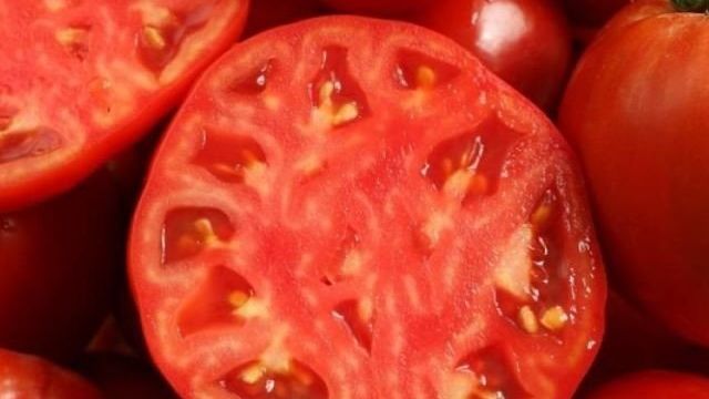 Томат Джина: характеристика и описание сорта, отзывы, фото помидоров, выращивание, видео