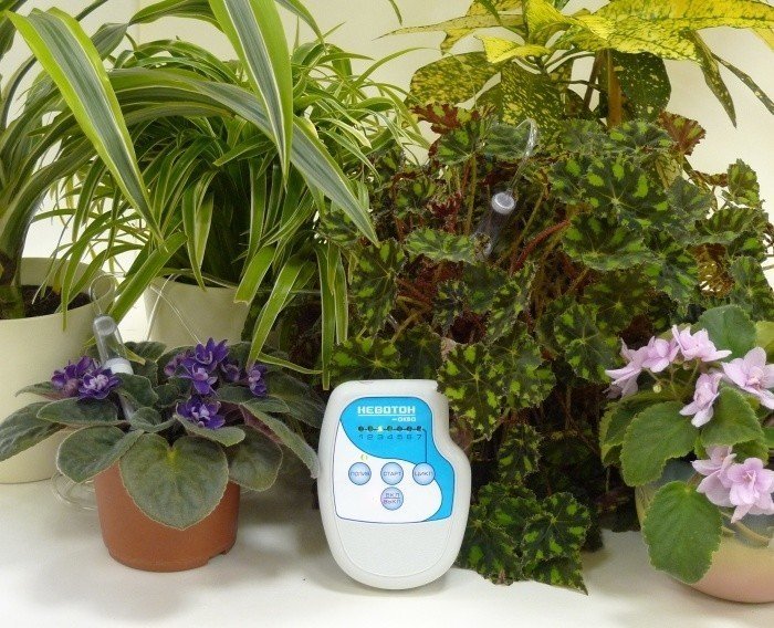 Автоматическая система капельного полива для комнатных растений
