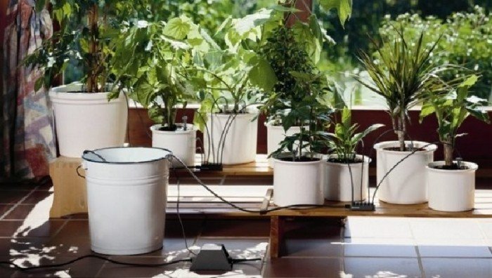 Gardena автополив комнатных растений
