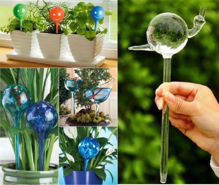 Стеклянные шары для полива комнатных растений