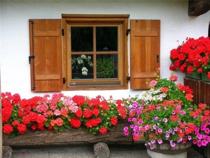 Швейцарские окна с цветами