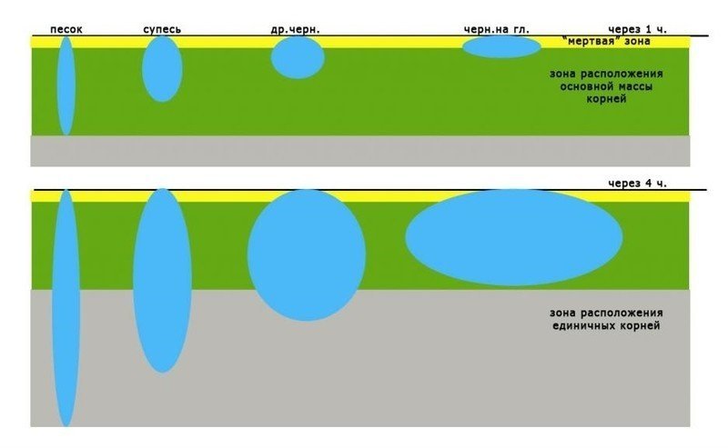 Схема распространения воды в почве при капельном поливе