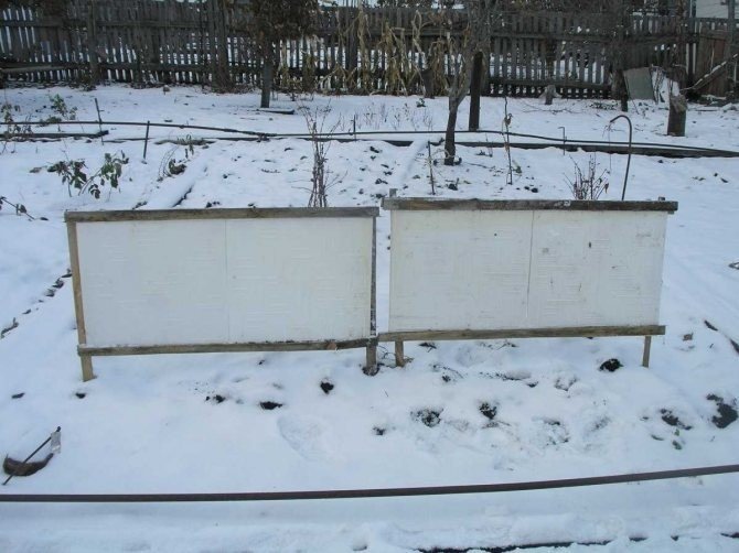 Снегозадержание в саду и огороде